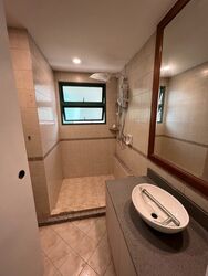 Sims Residences (D14), Apartment #337758521